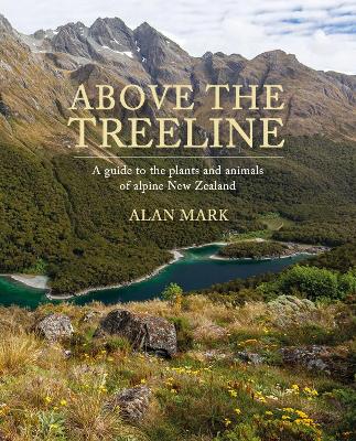 Above the Treeline