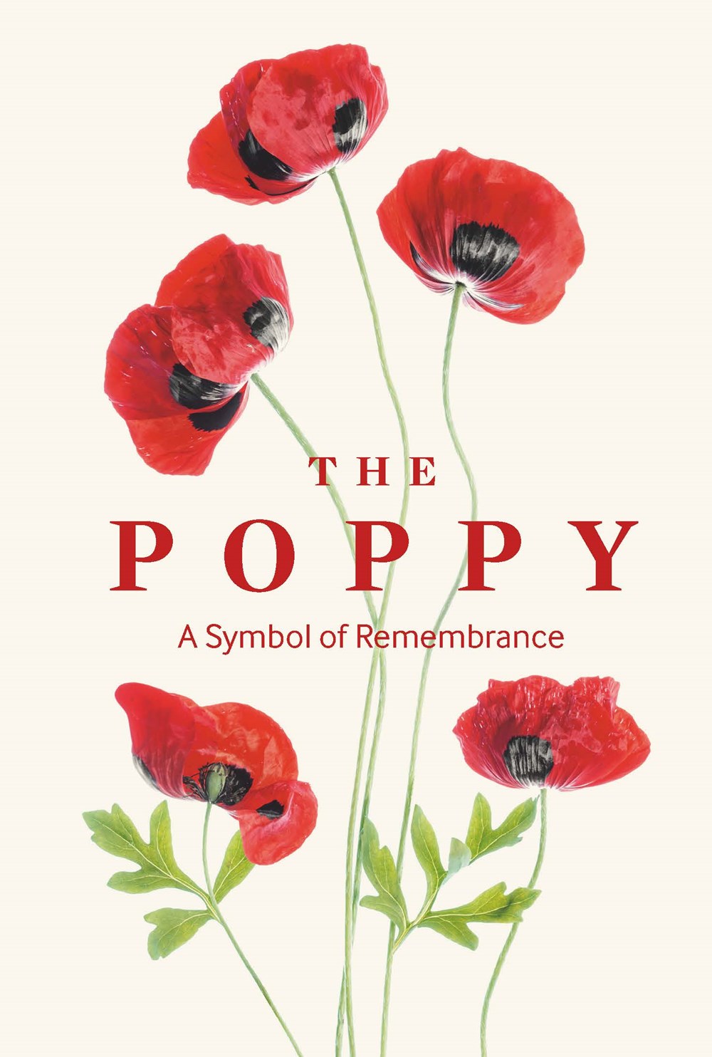 Poppy