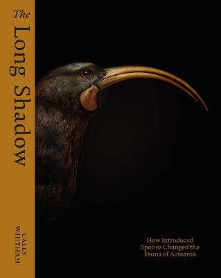 Long Shadow [PREORDER]