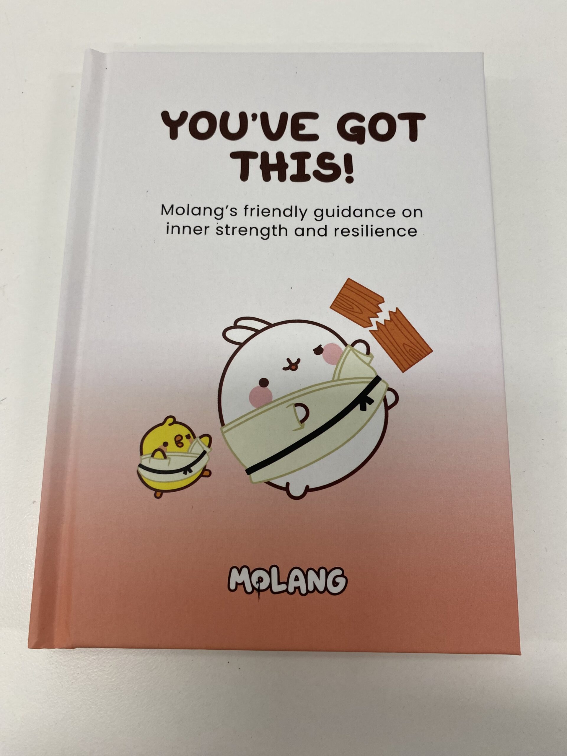 Molang Youve Got This